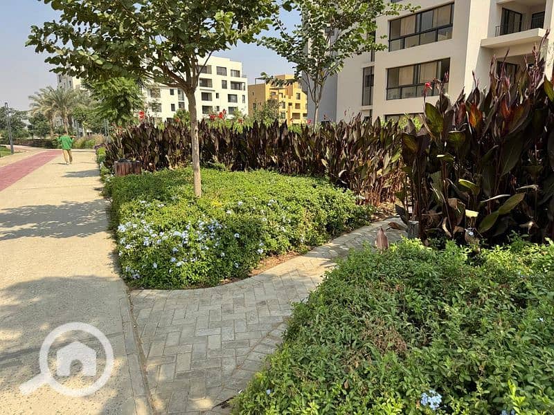 25 WhatsApp Image 2024-10-28 at 11.16. 07_31f626bb_800x600. jpg