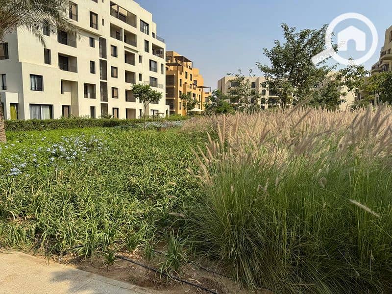 27 WhatsApp Image 2024-10-28 at 11.16. 08_d657dc4f_800x600. jpg