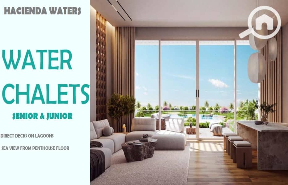 10 WhatsApp Image 2024-08-04 at 14.07. 40_cca505b9. jpg