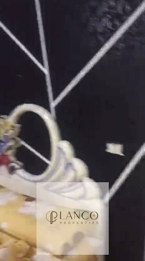 15 0e3054ab-7406-4265-9a5b-fbdeefd1fe5f. jpg