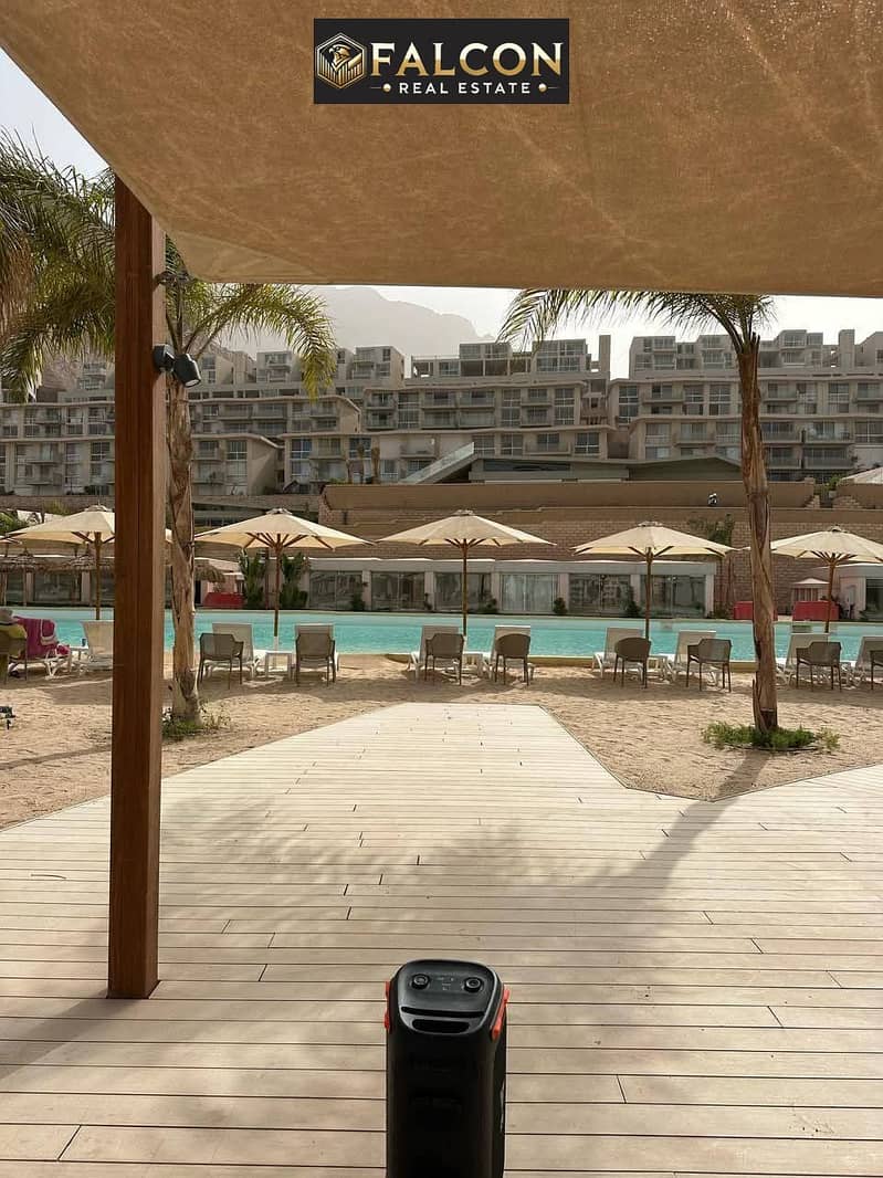 547502896_122164606472900138_7998320594573634388_n. jpg 547502896_122164606472900138_7998320594573634388_n. jpg