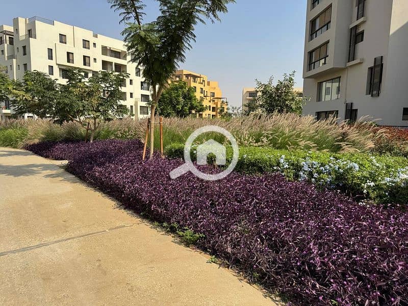 23 WhatsApp Image 2024-10-28 at 11.16. 08_ab53976d_800x600. jpg