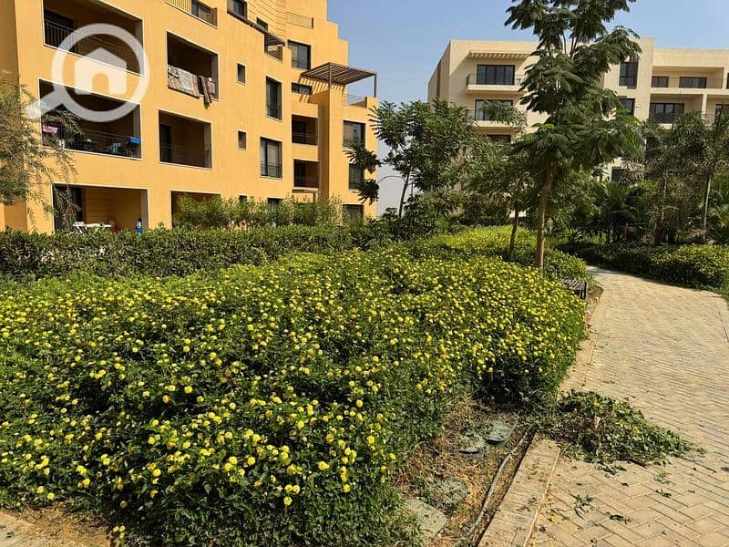 25 WhatsApp Image 2024-10-28 at 11.16. 10_8fa7bb6a_800x600. jpg