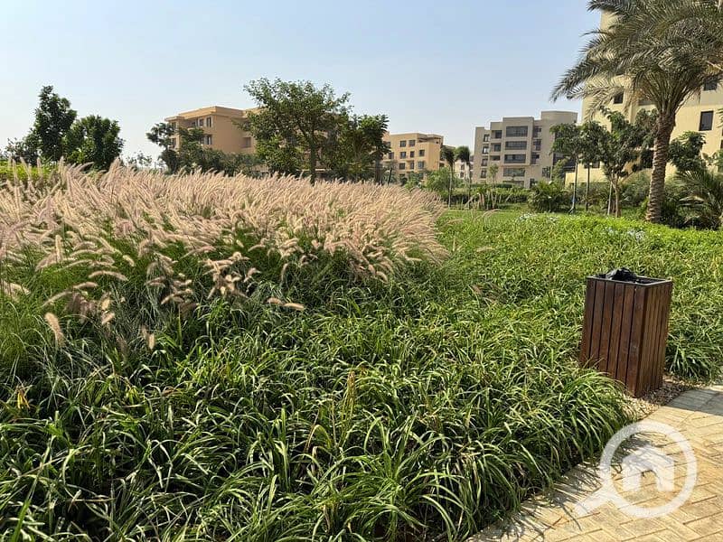 27 WhatsApp Image 2024-10-28 at 11.16. 12_57ac8b85 - Copy_800x600. jpg