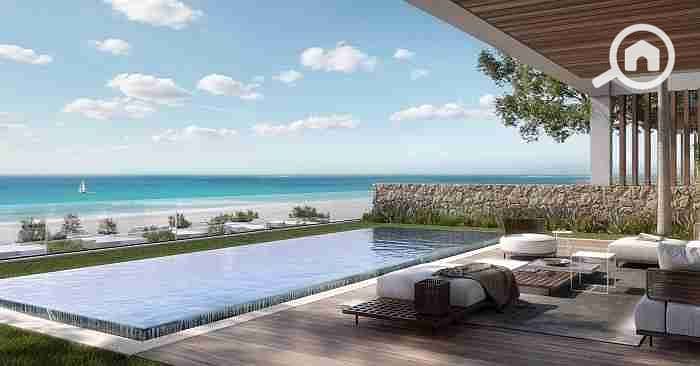 3 images - 2022-11-18T192916.235. jpeg