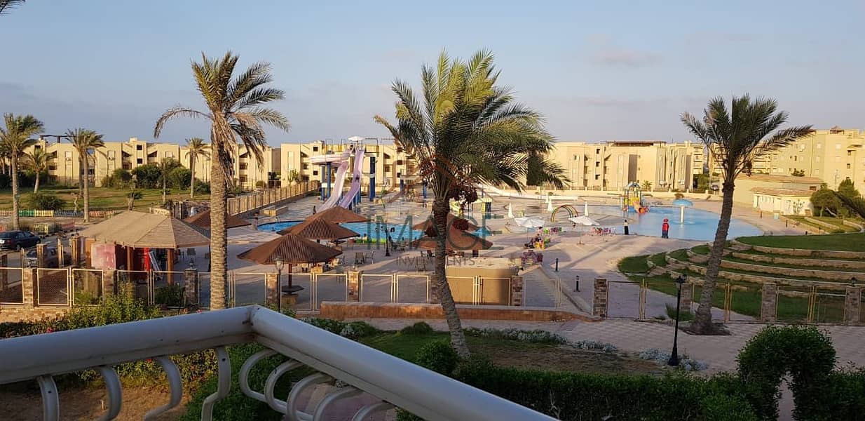 IMG-20251115-WA0040. jpg IMG-20251115-WA0040. jpg