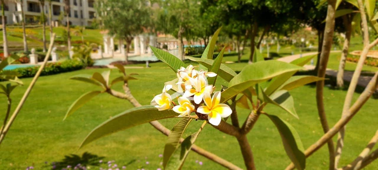 9 IMG-20251115-WA0311. jpg