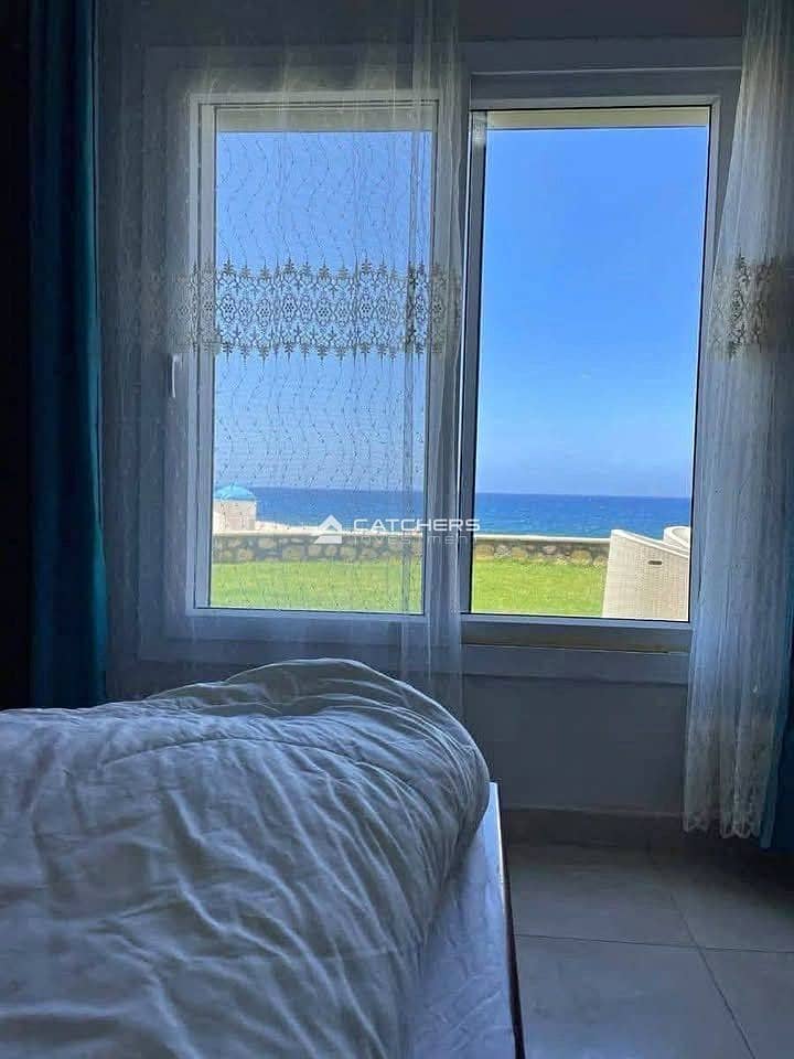 3 574571222_835864595477336_4055741929267247367_n. jpg