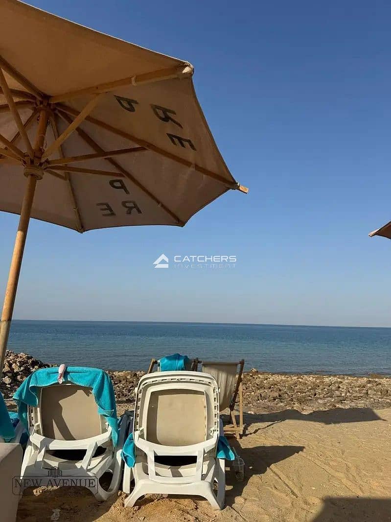 6 31001475-800x600. jpg