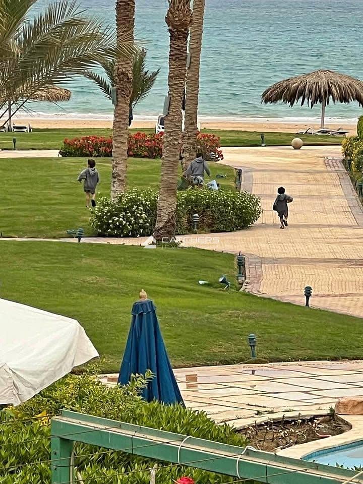 8 571365416_1340879561153099_4046660226479336186_n. jpg