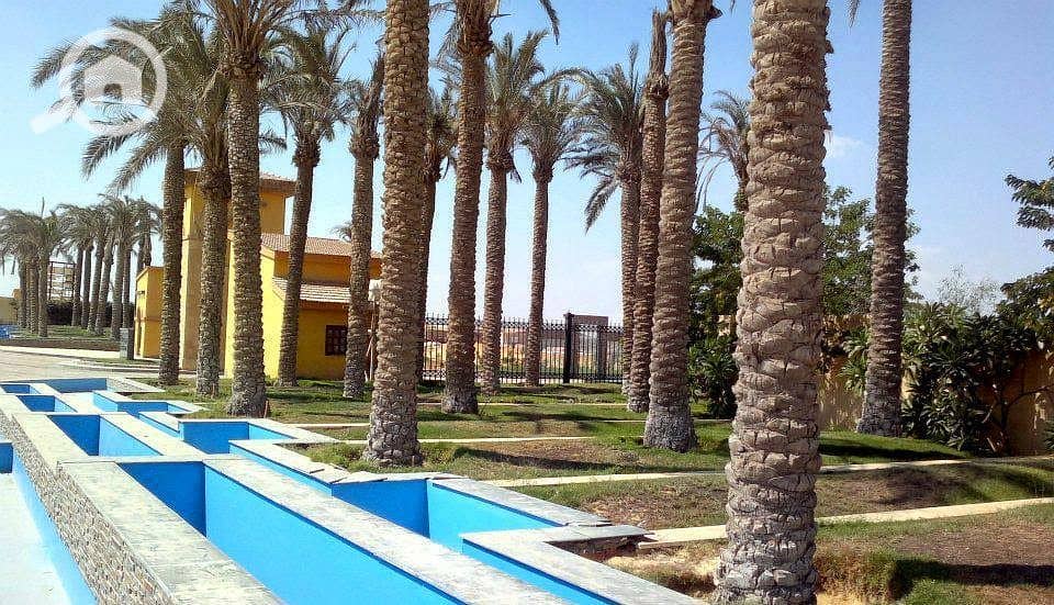 12 قطامية جاردنز, فلل للبيع بقطامية جاردنز, فيلا للبيع بقطامية جاردنز, فلل للبيع بالتجمع الخامس, villas for sale,(6). jpg