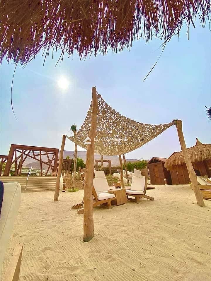 7 503129703_1728907357723978_1845943494616748530_n. jpg