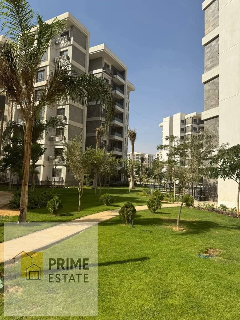 WhatsApp Image 2025-09-13 at 13.35. 52_f3c6f605. jpg