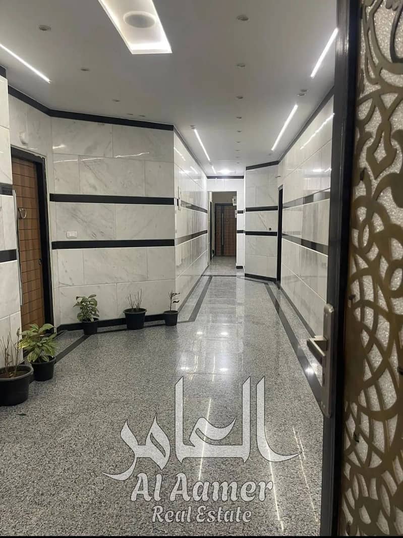 3 WhatsApp Image 2025-10-12 at 13.08. 40_3ced9fe8. jpg