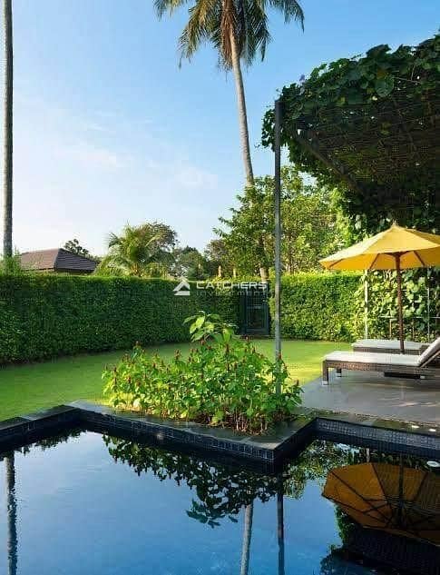 6 515939035_1087621443239011_8542914495872169995_n. jpg