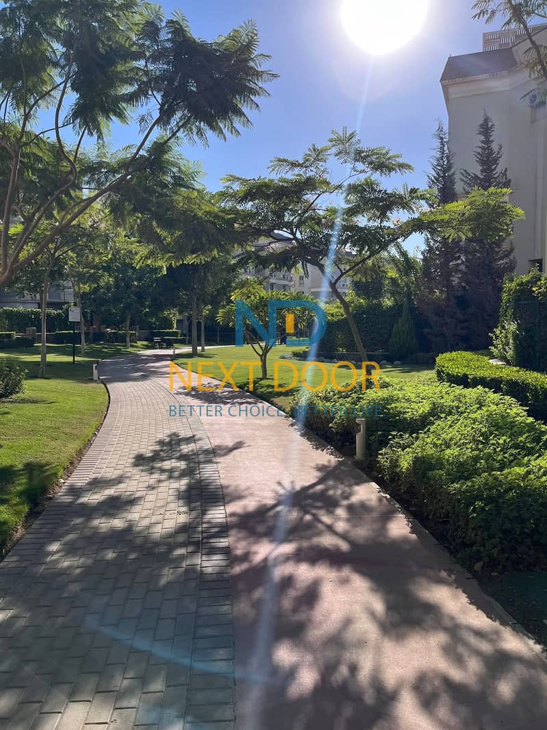 11 574571708_24861143623555233_8493397269654183165_n. jpg