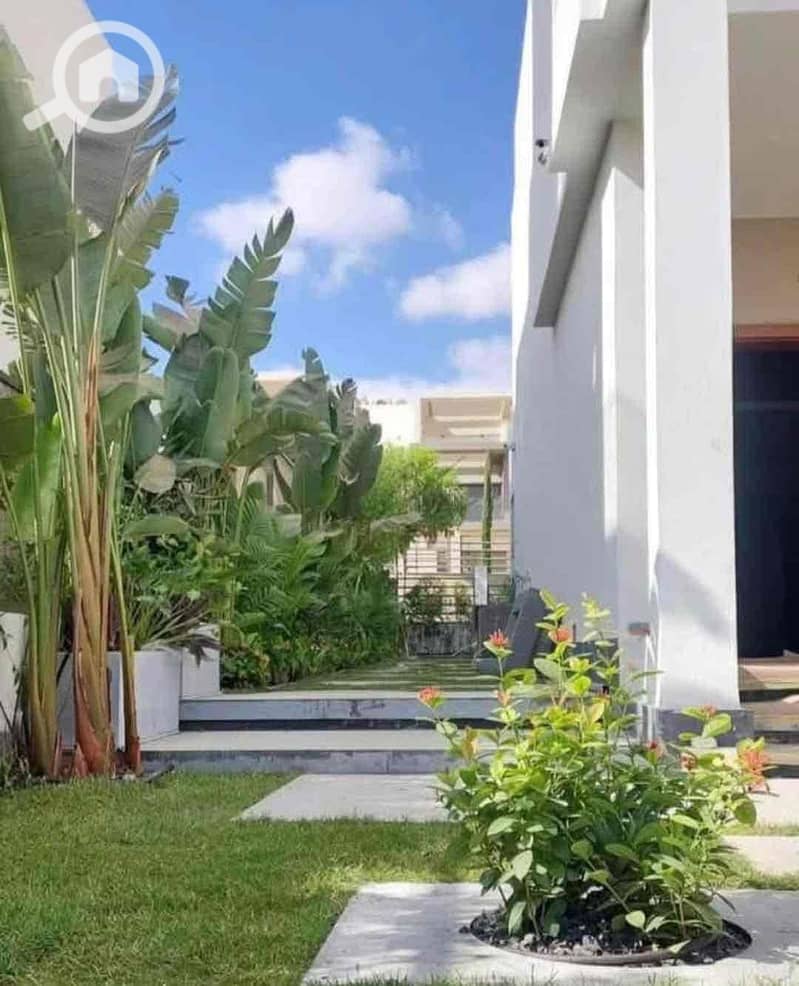 IMG_9979. jpg IMG_9979. jpg