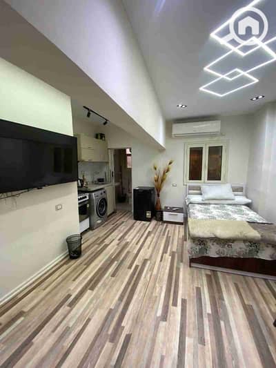 1 Bedroom Flat for Rent in Al Manial, Cairo - 54383. jpg