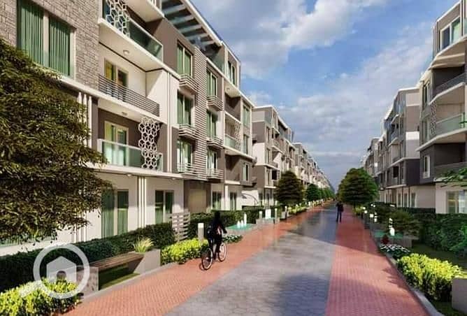 6 3774749-bb010o. jpg