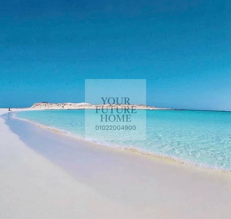 5 486354659_1999225263819745_2660893066683036444_n. jpg