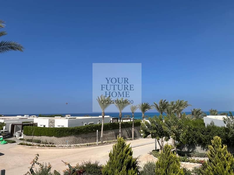 7 515502799_10163068658820490_5424939177892627060_n. jpg