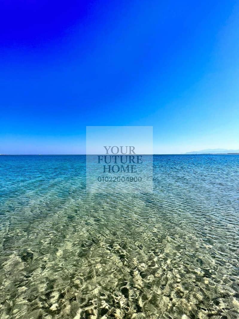 9 583243002_1915403259190267_7565034559182305776_n. jpg