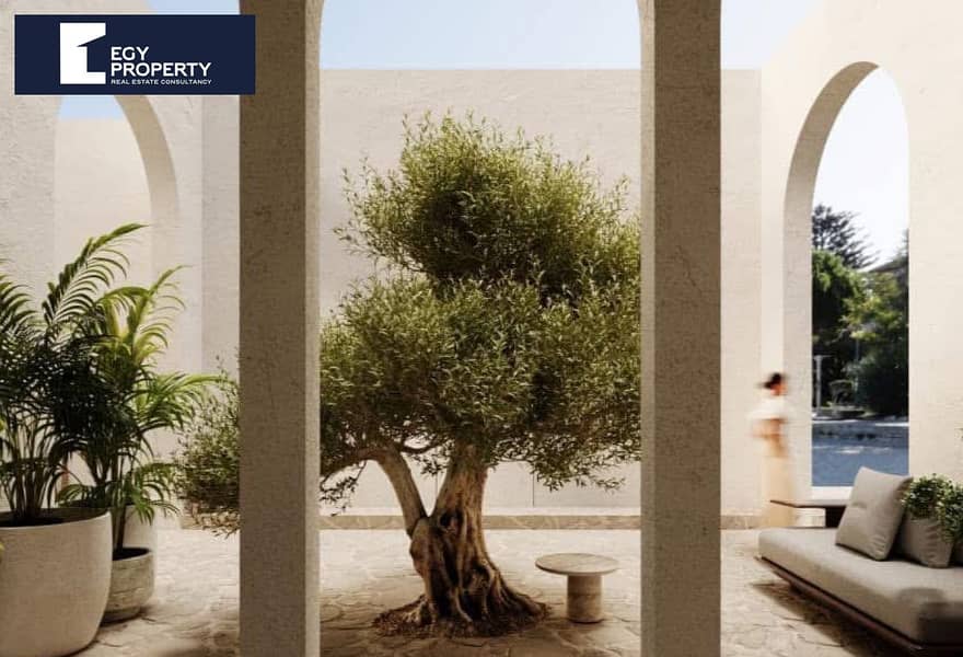 4 b3df640e-0cb5-4d95-b070-19f22fd3d9e2 (1). jpg