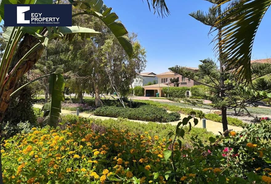 8 42dd7049-dc00-44c1-9560-c6ceda9a462e (1). jpg