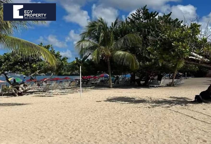 10 c20cb095-bbfb-4ab8-9032-14de658cef9c. jpg