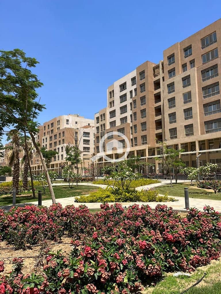 2 8a8d5fbc-328d-4497-b5e3-f88c676203cf. jpg