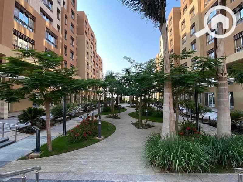 2 b243b419-936d-400e-b069-d72d81c26c54 (1). jpg