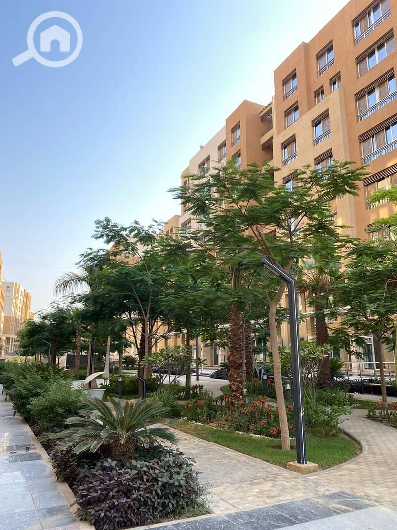 3 87ff882f-f620-4dd6-aeb0-d2a9d9d53a32 (1). jpg