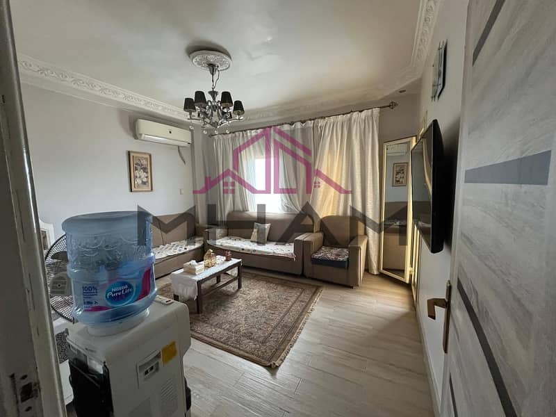 13 photo_5816552206591789955_y. jpg