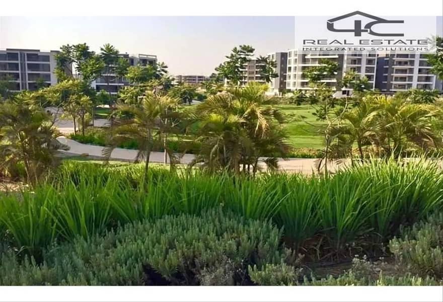 12 6313538-05dd7o. png