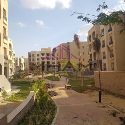 شقة 3 غرف نوم للايجار في القاهرة الجديدة، القاهرة - photo_5814275745075891435_y. jpg شقة 3 غرف نوم للايجار في القاهرة الجديدة، القاهرة - photo_5814275745075891435_y. jpg