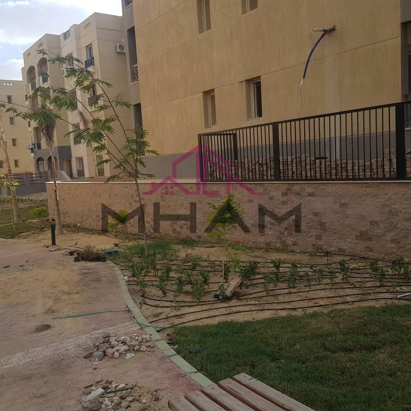 3 photo_5814275745075891437_y. jpg