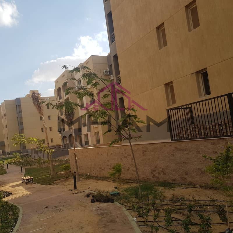 7 photo_5814275745075891442_y. jpg