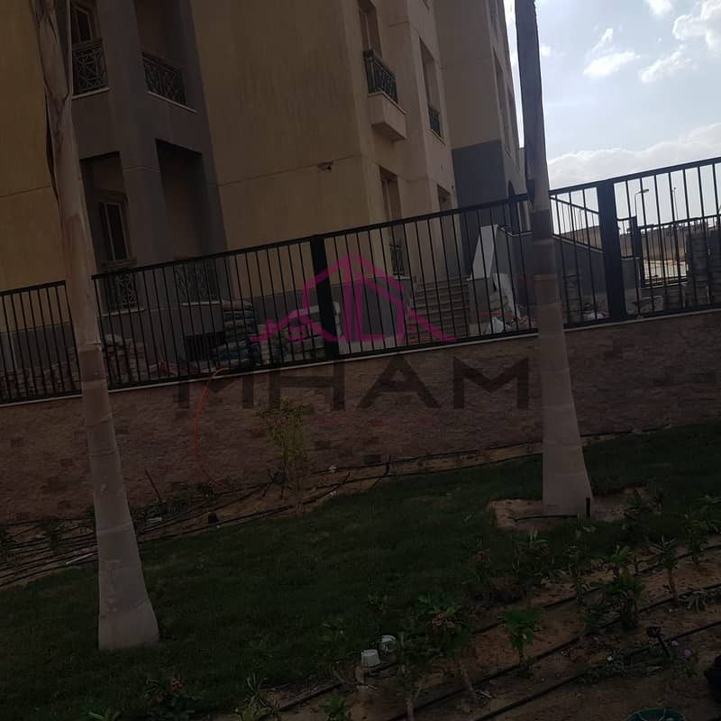 10 photo_5814275745075891445_y. jpg