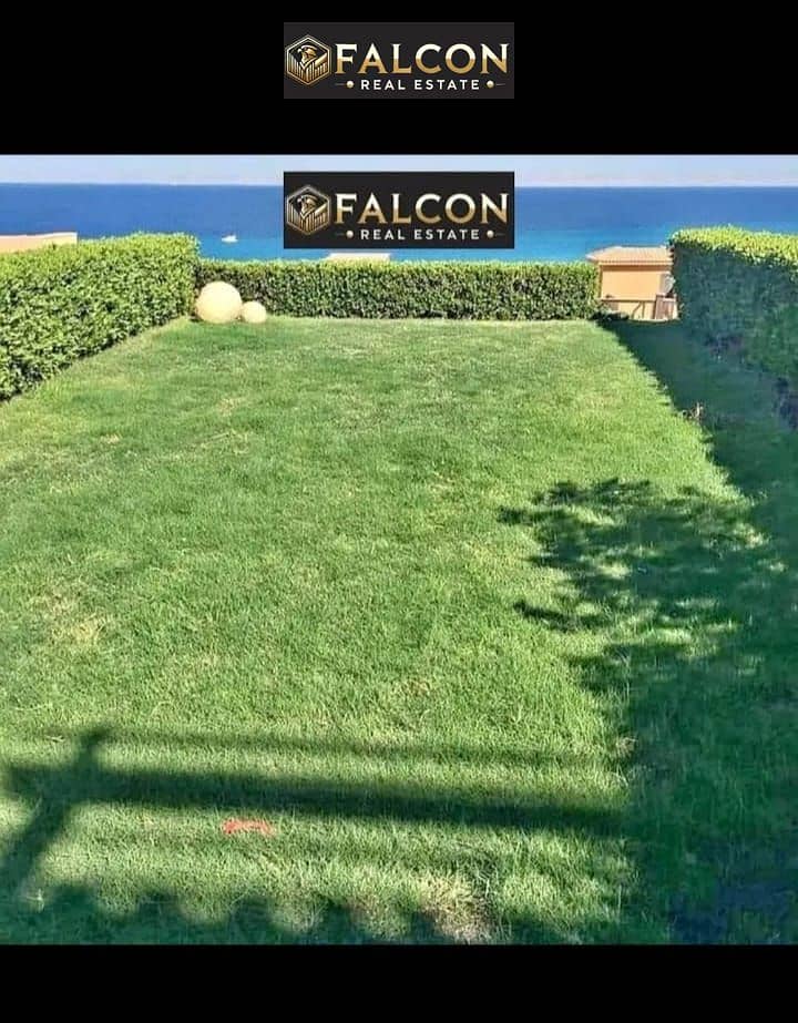 2 WhatsApp Image 2025-10-10 at 21.24. 33 (3). jpeg