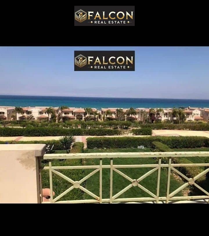 17 WhatsApp Image 2025-10-10 at 21.24. 31. jpeg