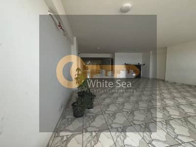 مکتب  للايجار في لوران، الإسكندرية - مقر إداري ٤غرف للايجار بلوران شارع عبد السلام عارف