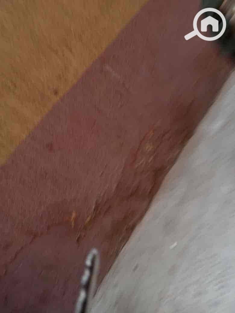 11 c269ca76-aca5-4acc-9042-e4ccd09149bd. jpg