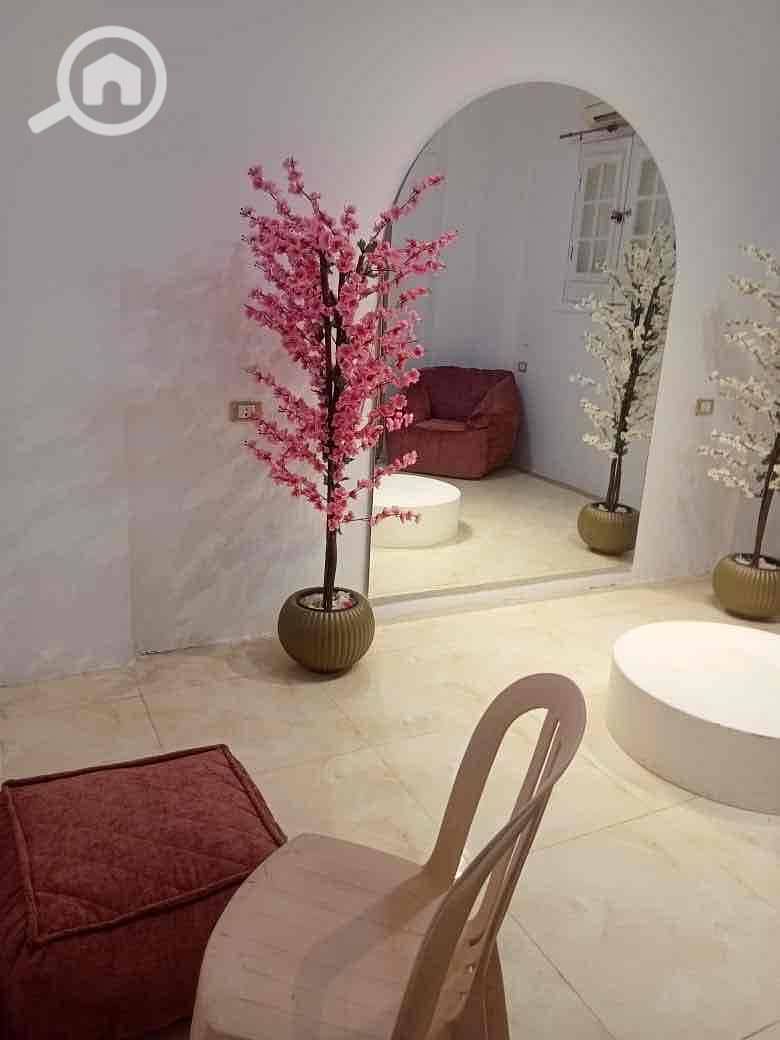 12 f7d84fe3-174a-43fb-a890-b147d0ff8556. jpg