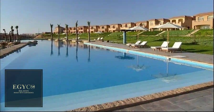 33590685-800x600. jpg 33590685-800x600. jpg