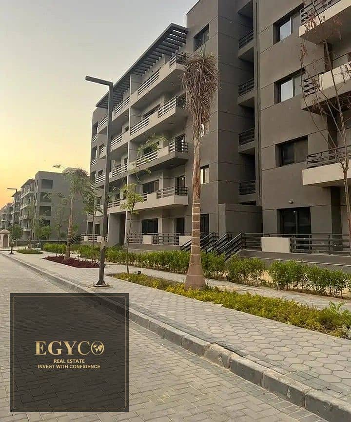 5 33533134-800x600. jpg