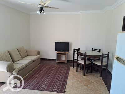 Studio for Rent in New Cairo, Cairo - IMG-20251112-WA0051. jpg Studio for Rent in New Cairo, Cairo - IMG-20251112-WA0051. jpg