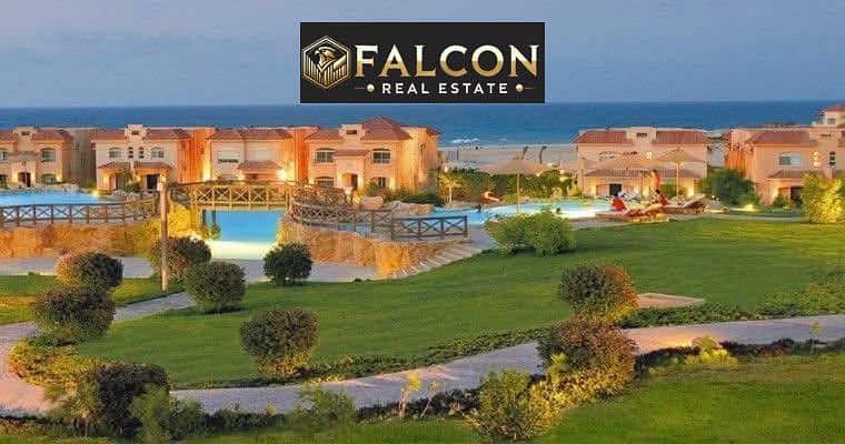 9 558034159_3083630218463885_3315774573342737447_n. jpg