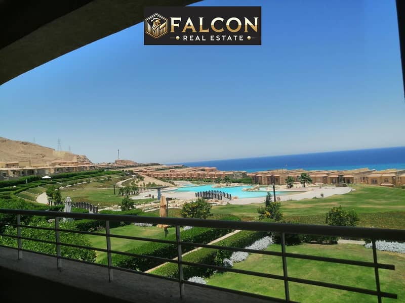 8 547449594_122232484274254725_7763848865729524892_n. jpg