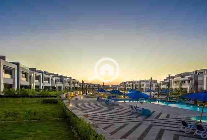 4 1807547-2dbe4o. webp