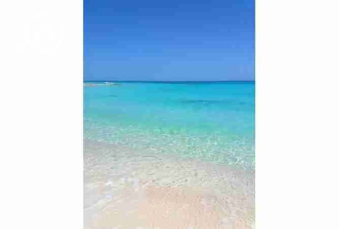 5 1807547-709f8o. webp